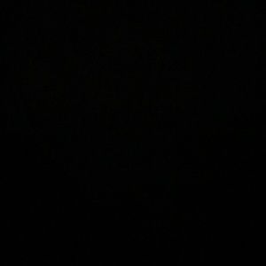 Meet your Posher, Leo